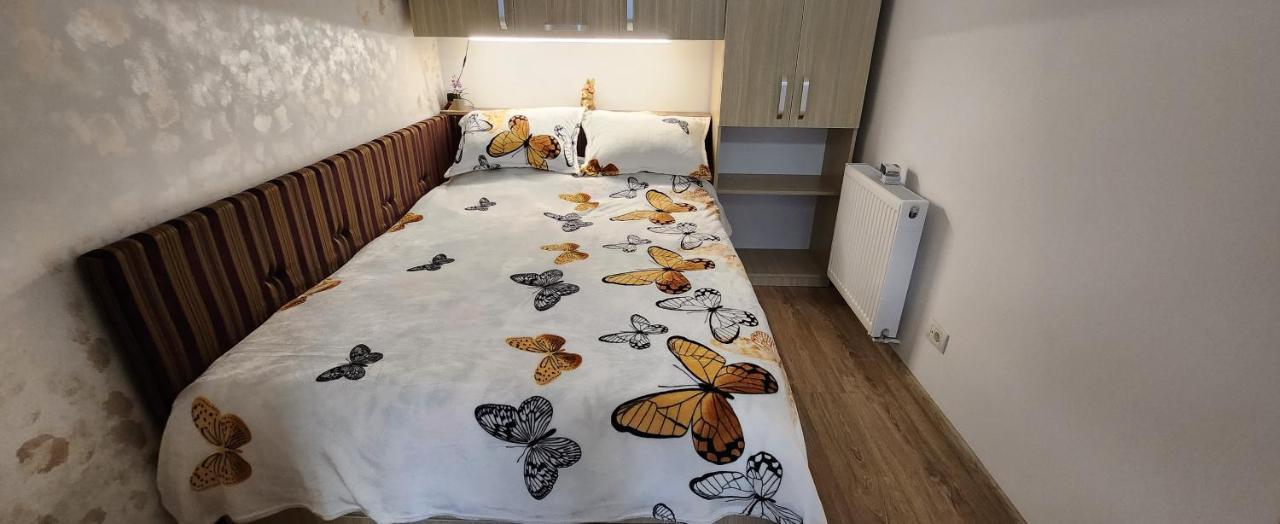Butterfly Apartment Timişoara Eksteriør billede