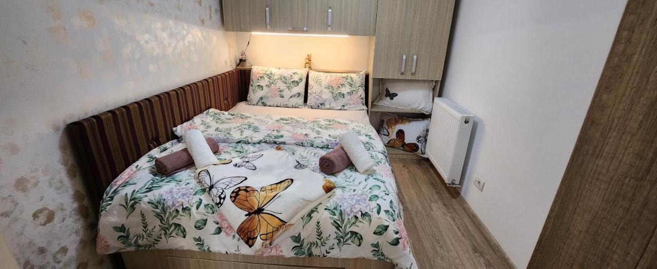 Butterfly Apartment Timişoara Eksteriør billede