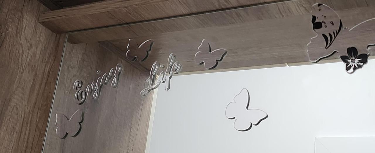 Butterfly Apartment Timişoara Eksteriør billede